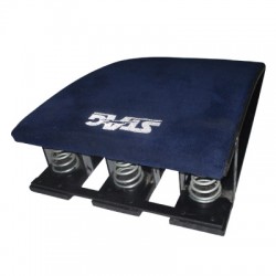 STAG Spring Board Competition